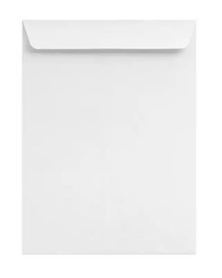 LION 100G WHITE ENV 250S 10X12