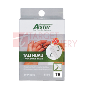 ASTAR T6 6″ TREASURY TAGS